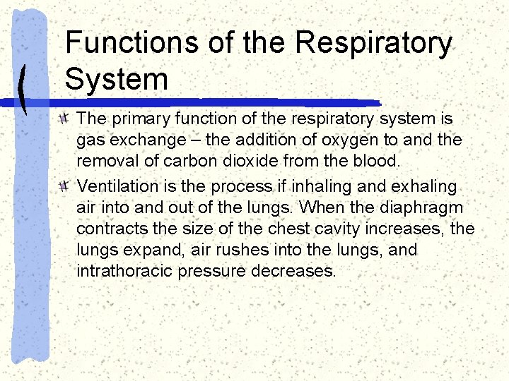 Functions of the Respiratory System The primary function of the respiratory system is gas