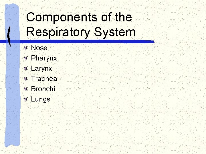 Components of the Respiratory System Nose Pharynx Larynx Trachea Bronchi Lungs 