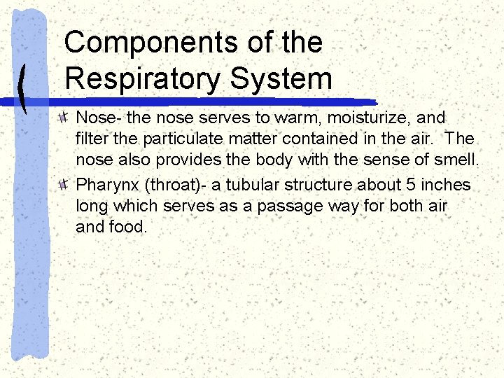 Components of the Respiratory System Nose- the nose serves to warm, moisturize, and filter