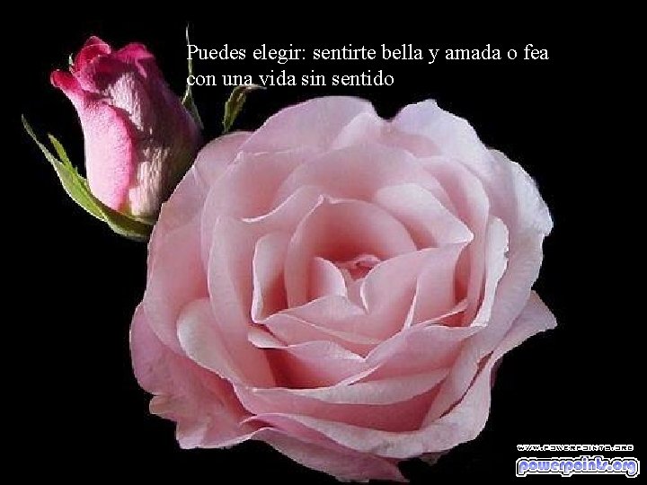 Puedes elegir: sentirte bella y amada o fea con una vida sin sentido 