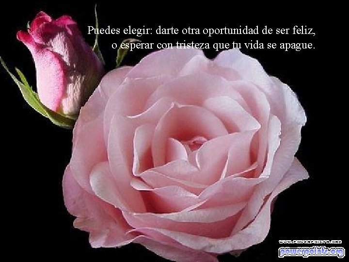 Puedes elegir: darte otra oportunidad de ser feliz, o esperar con tristeza que tu