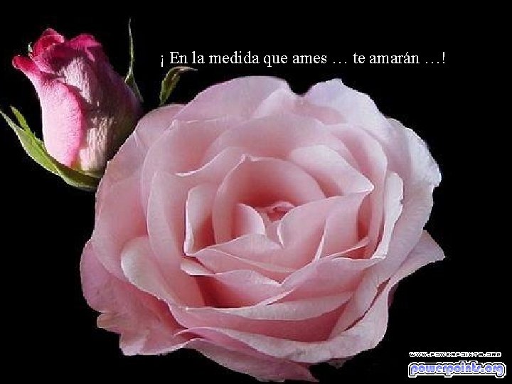 ¡ En la medida que ames … te amarán …! 