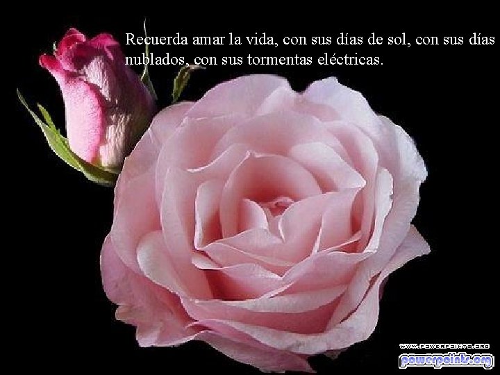 Recuerda amar la vida, con sus días de sol, con sus días nublados, con