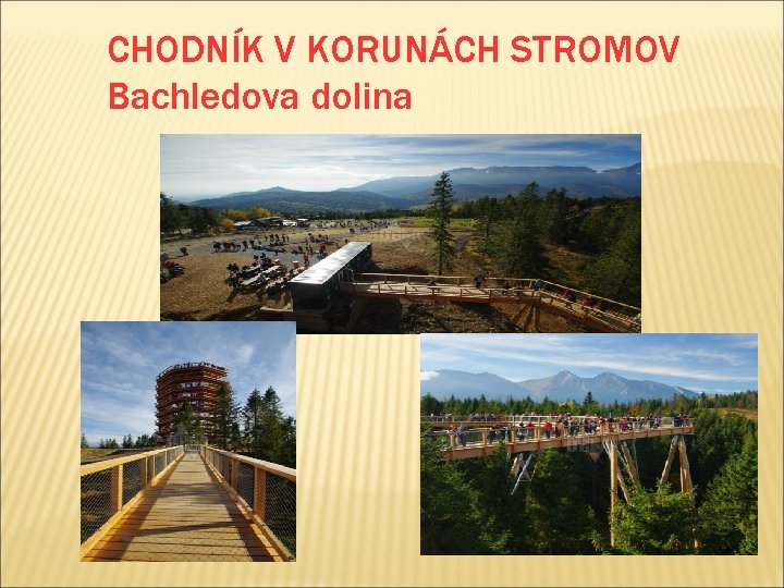 CHODNÍK V KORUNÁCH STROMOV Bachledova dolina 