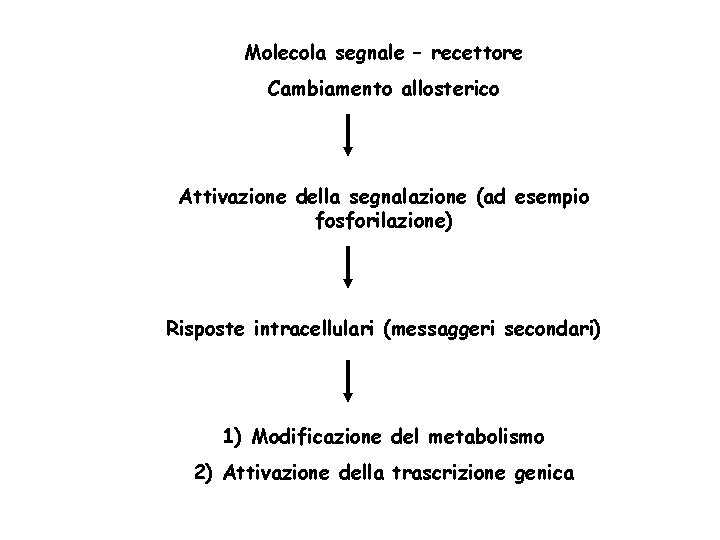 Molecola segnale – recettore Cambiamento allosterico Attivazione della segnalazione (ad esempio fosforilazione) Risposte intracellulari