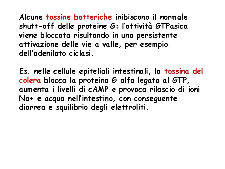 Alcune tossine batteriche inibiscono il normale shutt-off delle proteine G: l’attività GTPasica viene bloccata