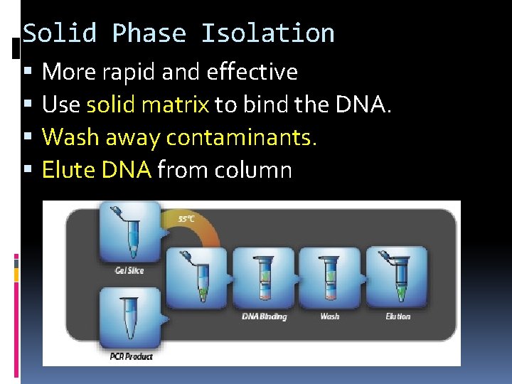Solid Phase Isolation More rapid and effective Use solid matrix to bind the DNA.