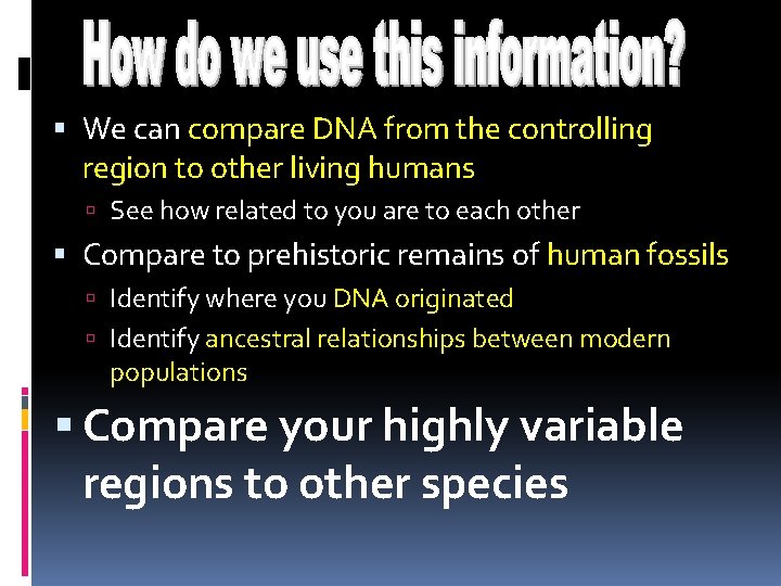  We can compare DNA from the controlling region to other living humans See