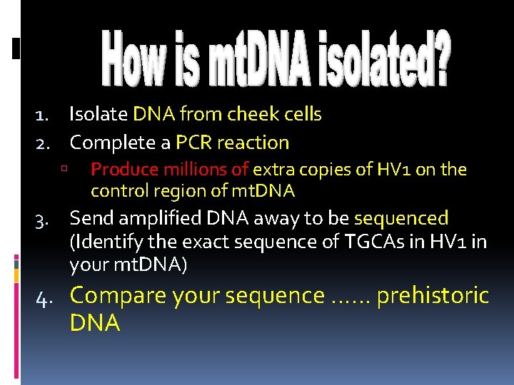 1. Isolate DNA from cheek cells 2. Complete a PCR reaction Produce millions of