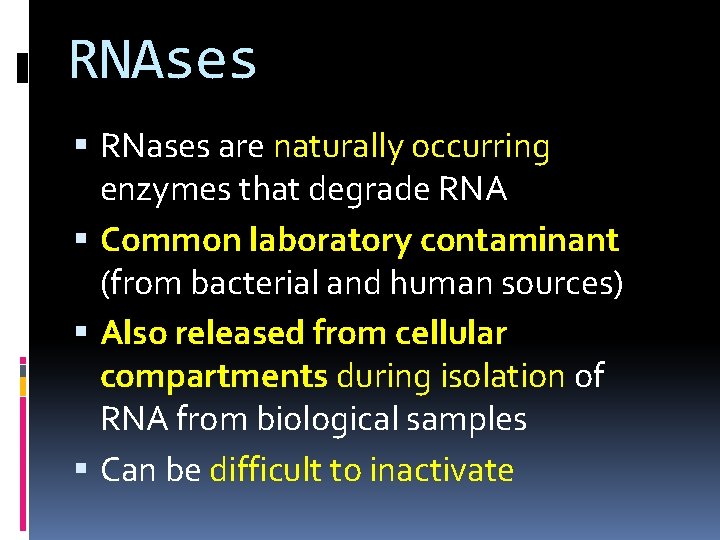 RNAses RNases are naturally occurring enzymes that degrade RNA Common laboratory contaminant (from bacterial