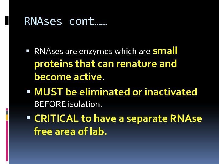 RNAses cont…… RNAses are enzymes which are small proteins that can renature and become