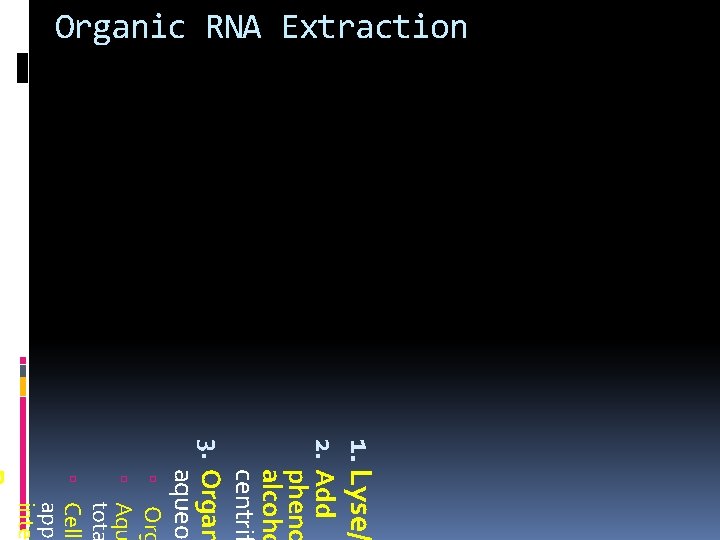 Organic RNA Extraction 1. Lyse/ 2. Add pheno alcoho centrif 3. Organ aqueo Org