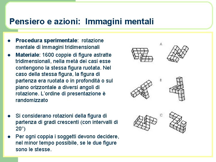 Pensiero e azioni: Immagini mentali l l Procedura sperimentale: rotazione mentale di immagini tridimensionali