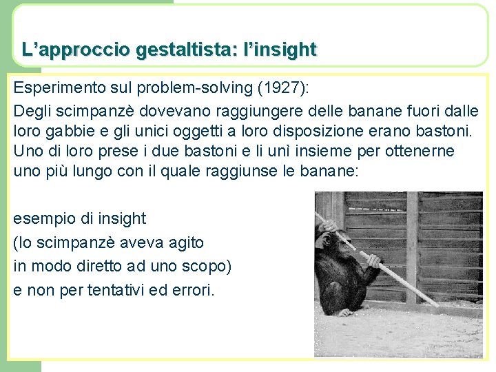 L’approccio gestaltista: l’insight Esperimento sul problem-solving (1927): Degli scimpanzè dovevano raggiungere delle banane fuori