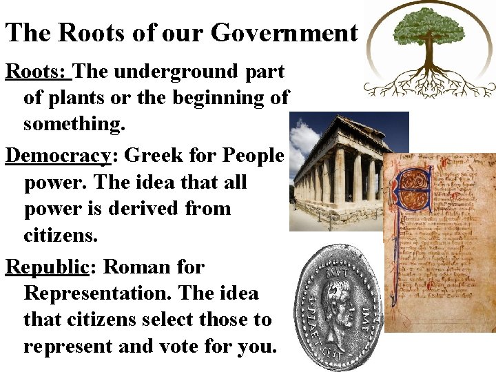 The Roots of our Government Roots: The underground part of plants or the beginning