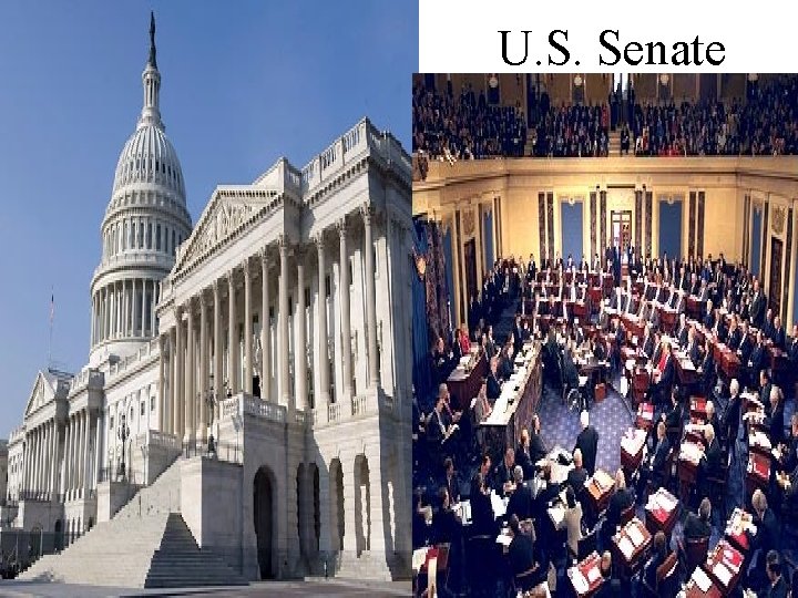 U. S. Senate 