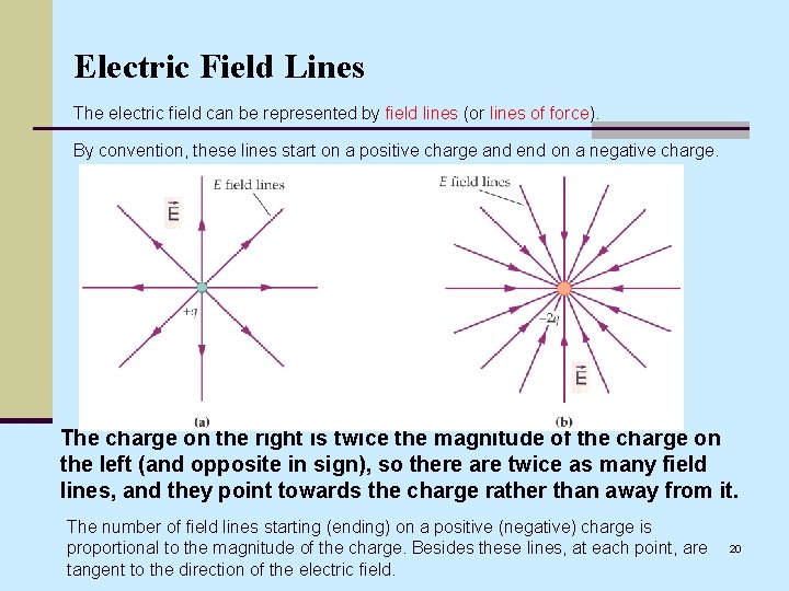 Electric Field Lines The electric field can be represented by field lines (or lines