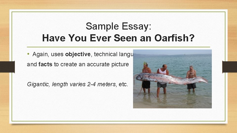 Sample Essay: Have You Ever Seen an Oarfish? • Again, uses objective, technical language