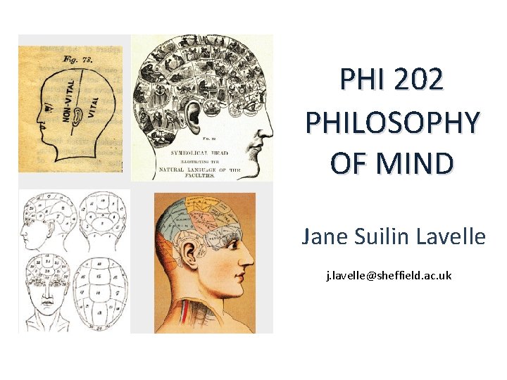 PHI 202 PHILOSOPHY OF MIND Jane Suilin Lavelle j. lavelle@sheffield. ac. uk 