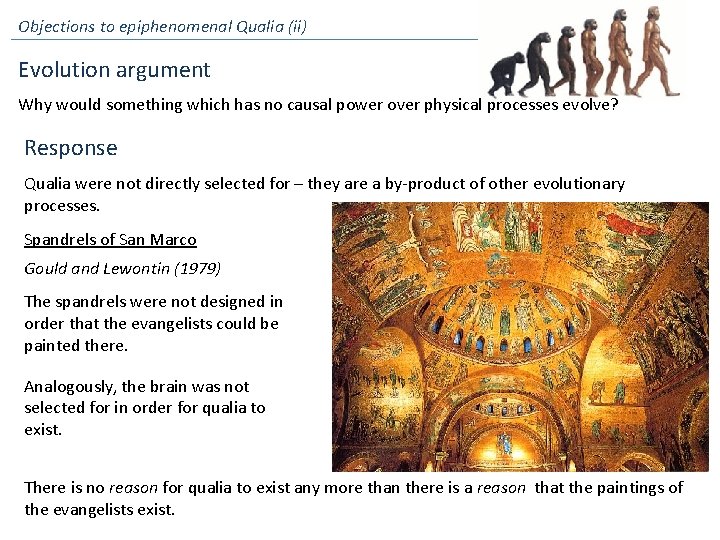 Objections to epiphenomenal Qualia (ii) Evolution argument Why would something which has no causal