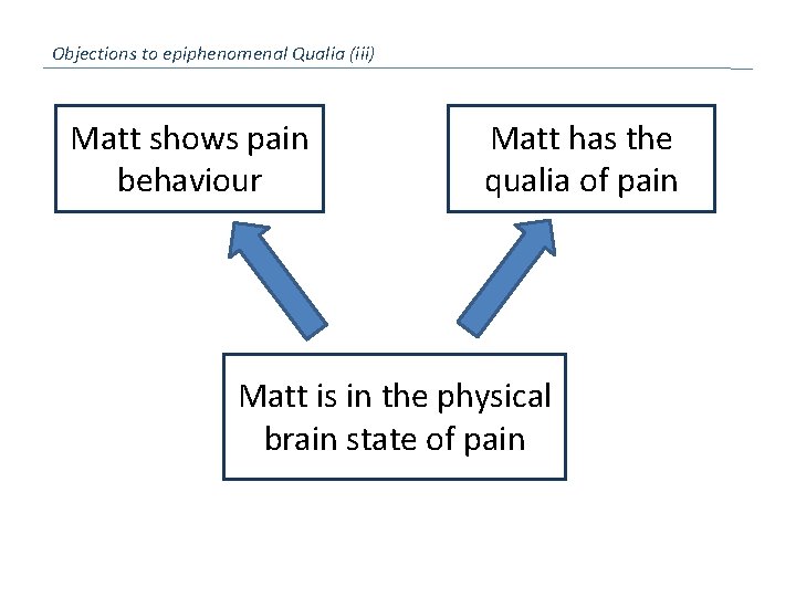 Objections to epiphenomenal Qualia (iii) Matt shows pain behaviour Matt has the qualia of