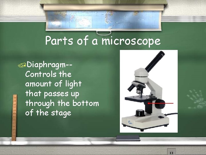 Parts of a microscope /Diaphragm-- Controls the amount of light that passes up through
