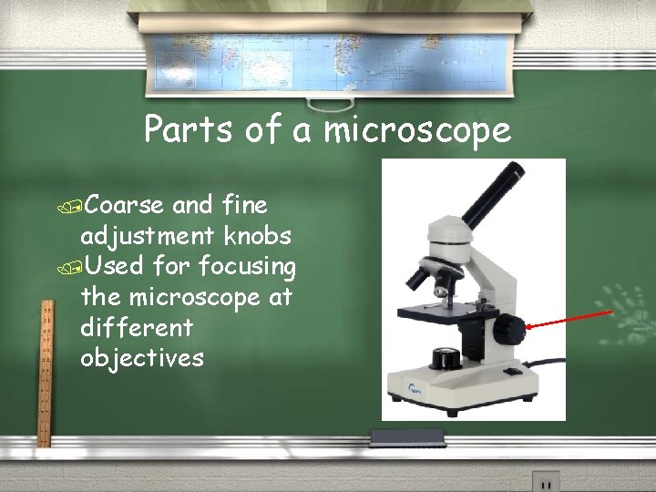 Parts of a microscope /Coarse and fine adjustment knobs /Used for focusing the microscope