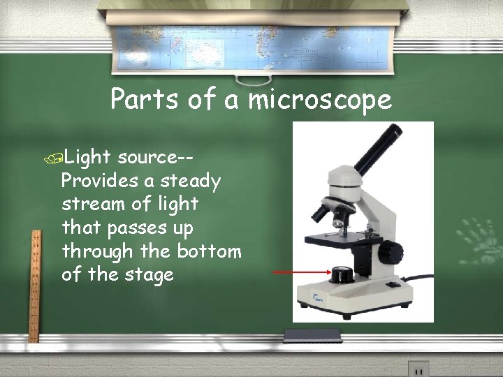Parts of a microscope /Light source-Provides a steady stream of light that passes up