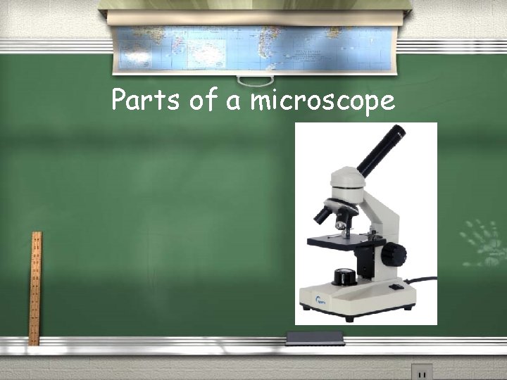 Parts of a microscope 