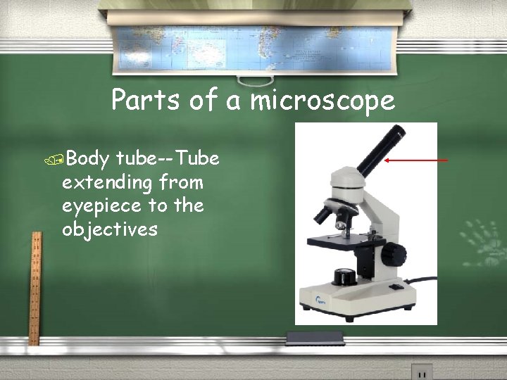Parts of a microscope /Body tube--Tube extending from eyepiece to the objectives 