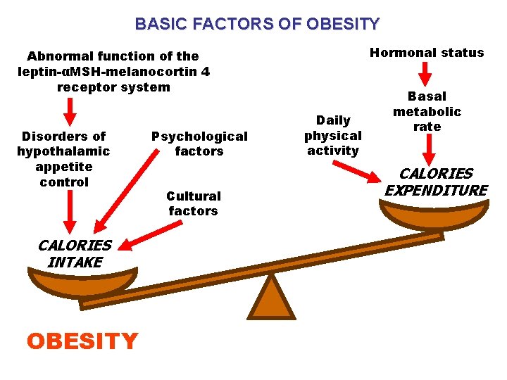 BASIC FACTORS OF OBESITY Hormonal status Abnormal function of the leptin-αMSH-melanocortin 4 receptor system