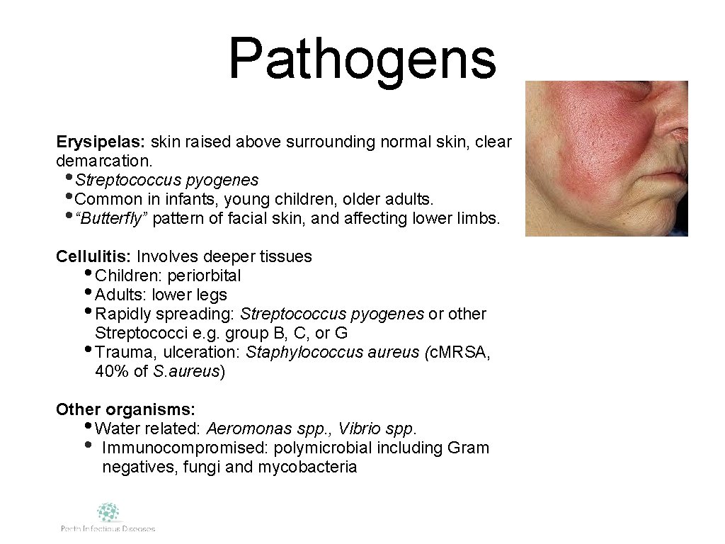 Pathogens Erysipelas: skin raised above surrounding normal skin, clear demarcation. • Streptococcus pyogenes •