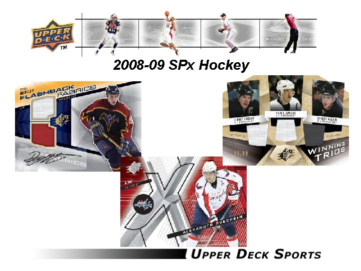 2008 -09 SPx Hockey 