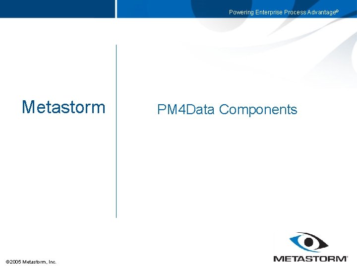 Powering Enterprise Process Advantage® Metastorm 2005 Metastorm, Inc. PM 4 Data Components 