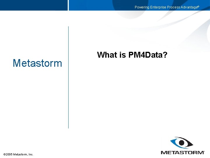 Powering Enterprise Process Advantage® Metastorm 2005 Metastorm, Inc. What is PM 4 Data? 