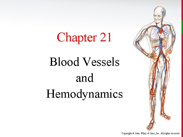 Chapter 21 Blood Vessels and Hemodynamics Copyright © John Wiley & Sons, Inc. All