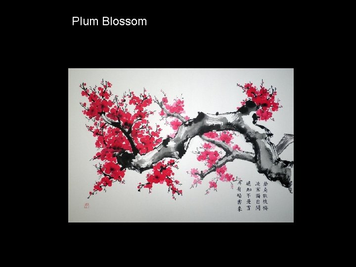 Plum Blossom 