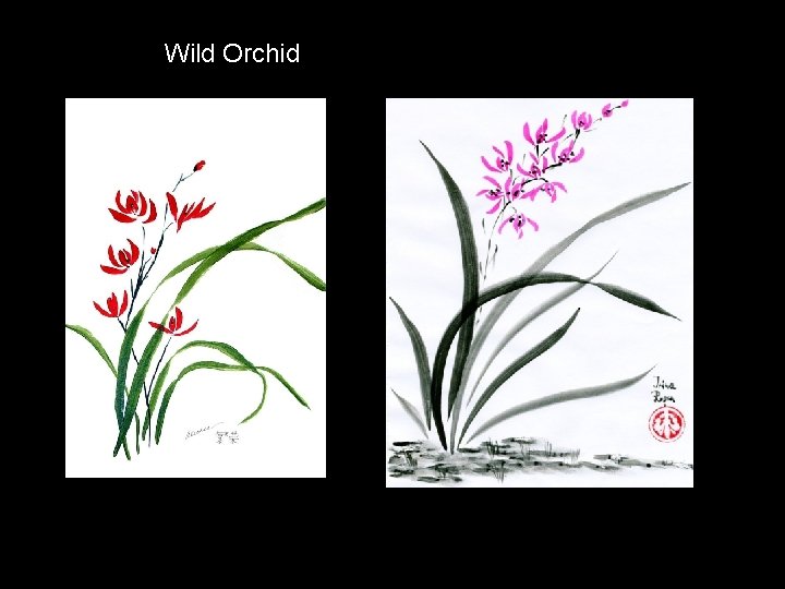 Wild Orchid 