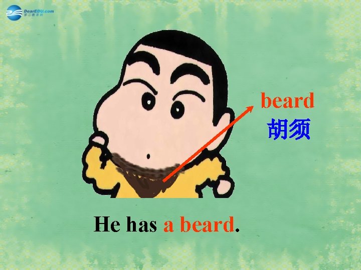beard 胡须 He has a beard. 