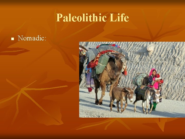Paleolithic Life n Nomadic: 