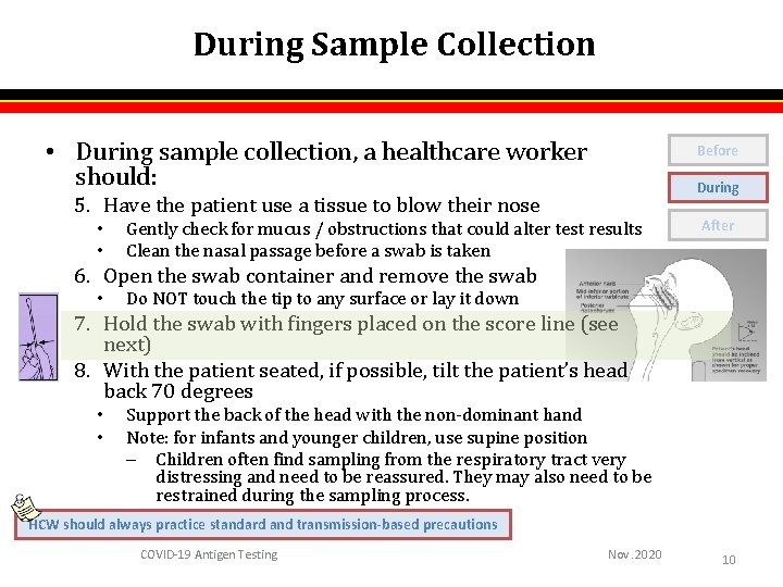 During Sample Collection • During sample collection, a healthcare worker should: Before During 5. During Sample Collection • During sample collection, a healthcare worker should: Before During 5.