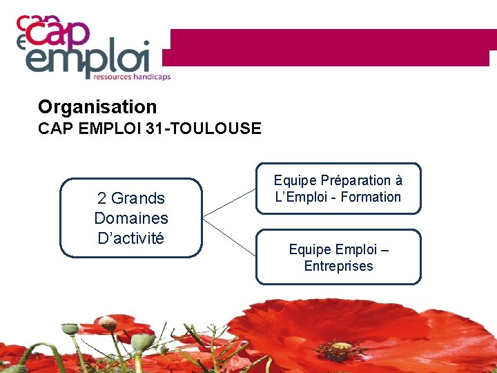 Organisation CAP EMPLOI 31 -TOULOUSE 2 Grands Domaines D’activité Equipe Préparation à L’Emploi -