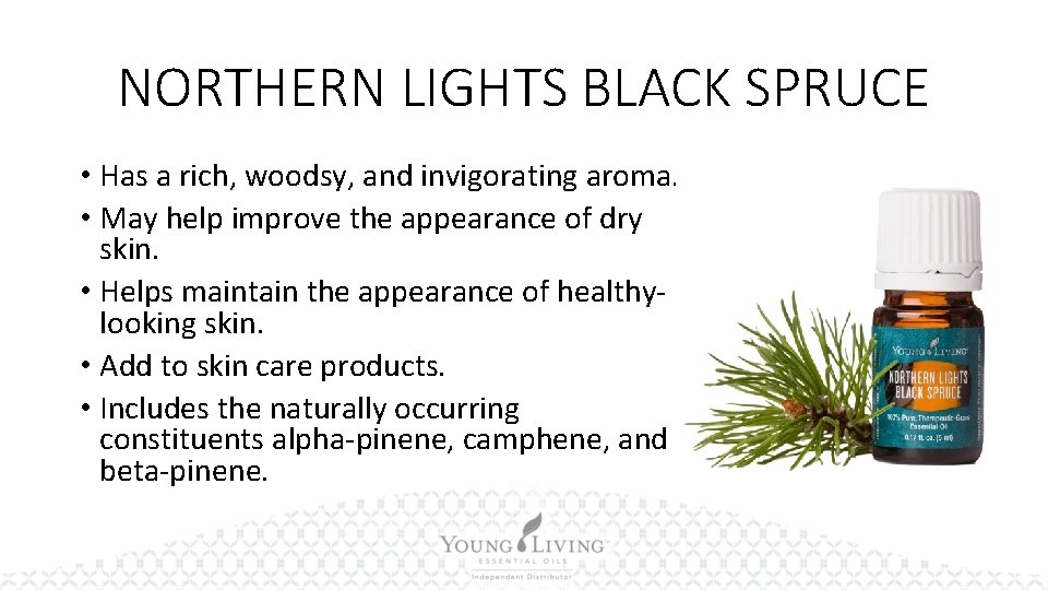 NORTHERN LIGHTS BLACK SPRUCE • Has a rich, woodsy, and invigorating aroma. • May