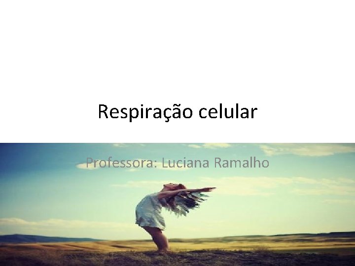 Respiração celular Professora: Luciana Ramalho 