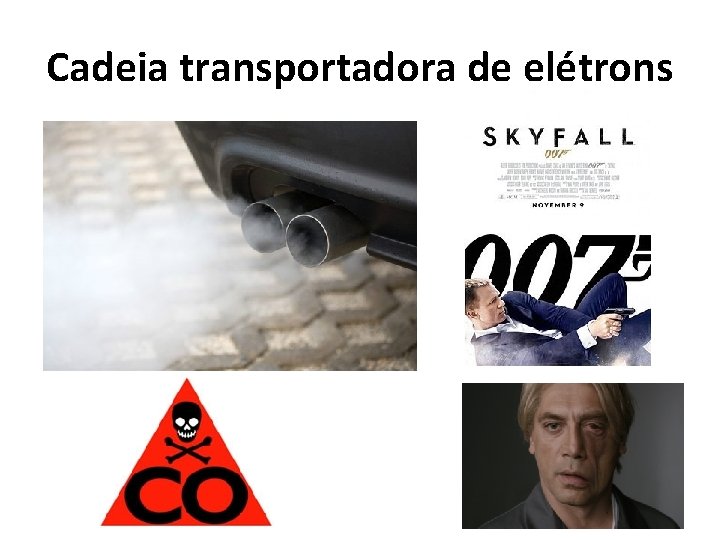 Cadeia transportadora de elétrons 