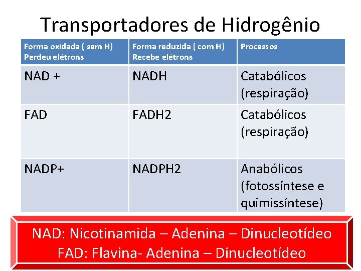 Transportadores de Hidrogênio Forma oxidada ( sem H) Perdeu elétrons Forma reduzida ( com