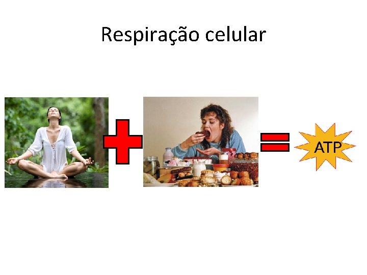 Respiração celular 