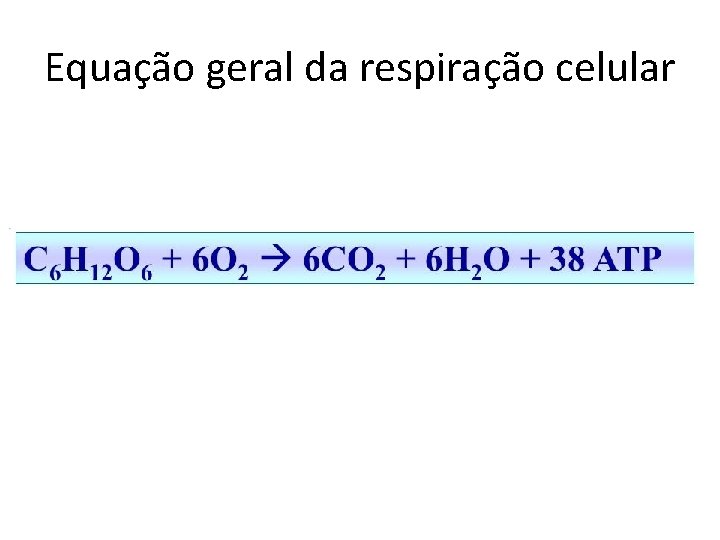 Equação geral da respiração celular 