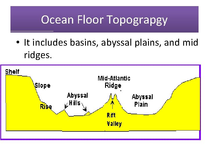 Ocean Floor Topograpgy • It includes basins, abyssal plains, and mid ridges. 