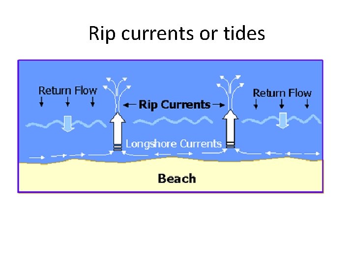 Rip currents or tides 